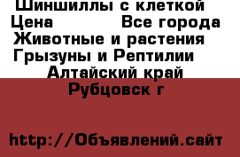 Шиншиллы с клеткой › Цена ­ 8 000 - Все города Животные и растения » Грызуны и Рептилии   . Алтайский край,Рубцовск г.